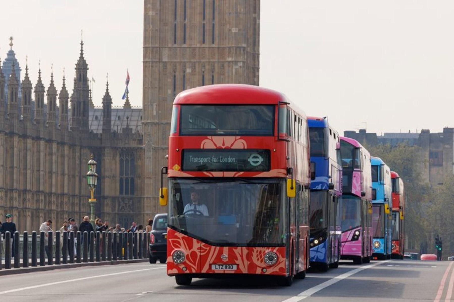 Red, blue, and pink wrapped double-decker buses driving past the Palace of Westminster, London.