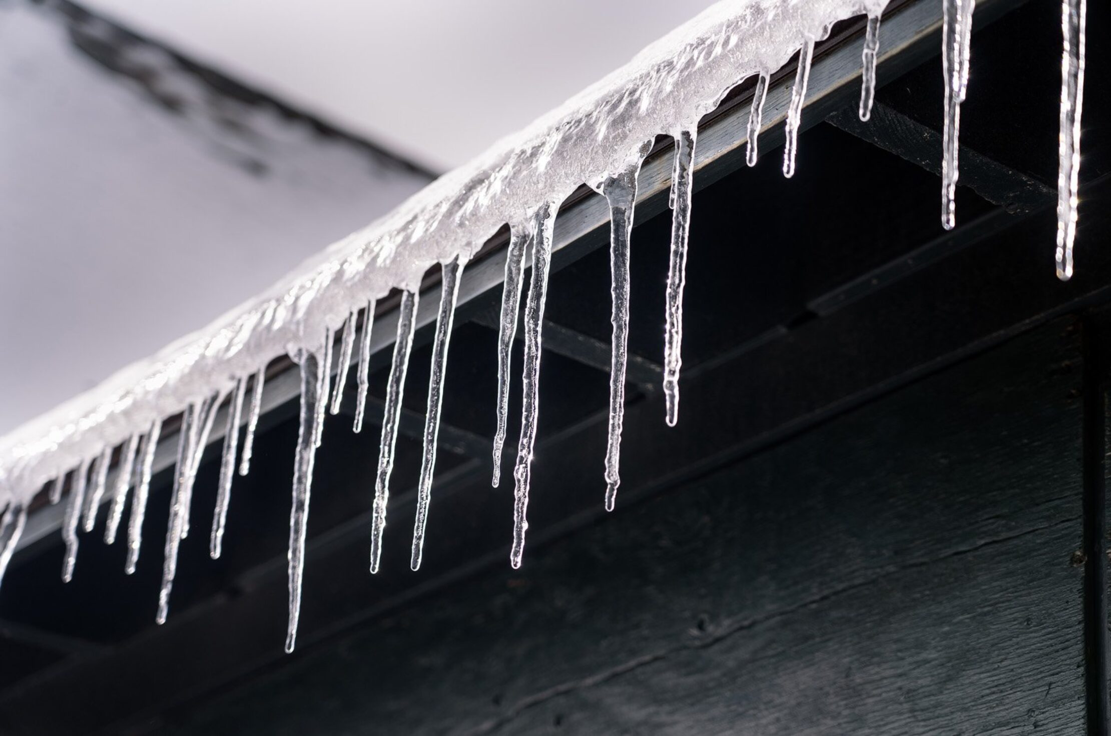 Row of clear icicles hanging from a snow-covered roof edge.